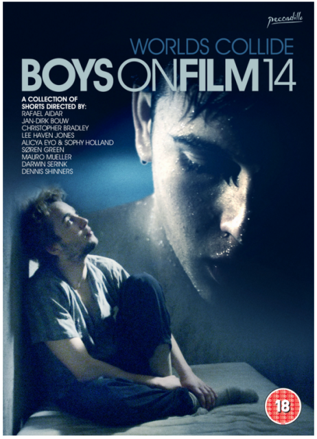 Boys on Film 14: Worlds Collide  (2015)