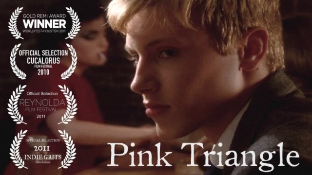 Pink Triangle  (2010)