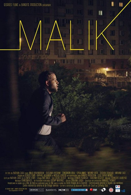 Malik  (2018)