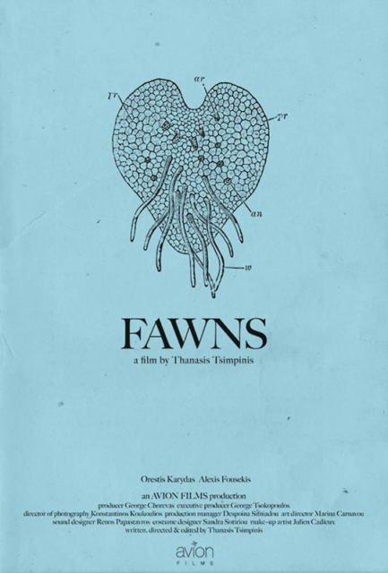 Fawns  (2014)