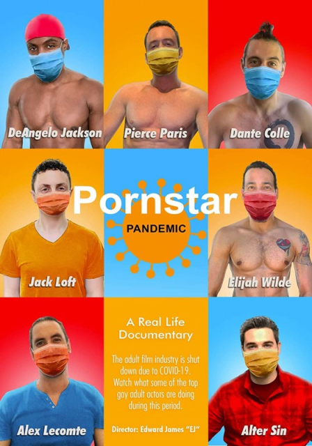 Pornstar Pandemic: The Guys  (2020)