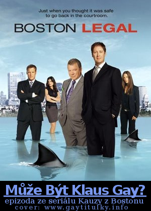 Boston Legal / Kauzy z Bostonu  (2008)