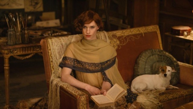 The Danish Girl / Dánská dívka  (2015)