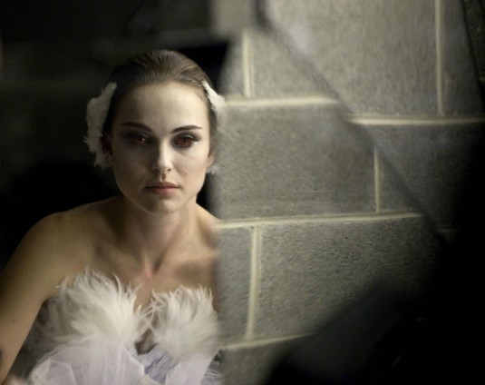 Black Swan / Černá labuť  (2010)