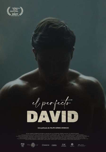 El perfecto David / The Perfect David   (2021)