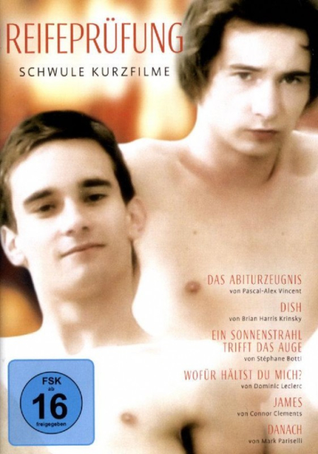 Reifeprüfung: Schwule Kurzfilme  (2010)