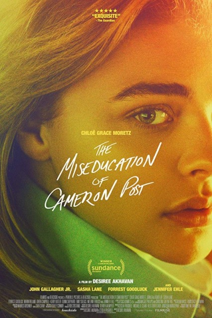 The Miseducation of Cameron Post  (2018)