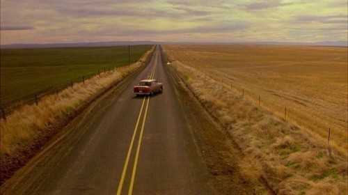 My Own Private Idaho / Mé soukromé Idaho  (1991)