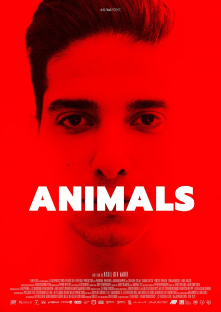 Animals  (2021)