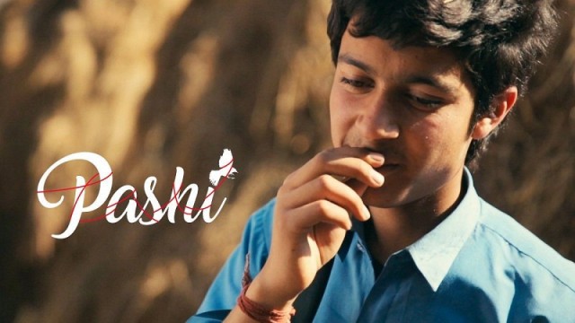 Pashi  (2017)