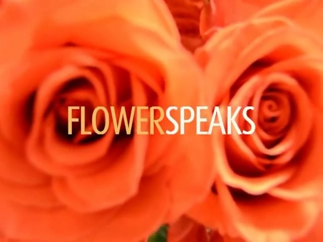 Flowerspeaks  (2012)