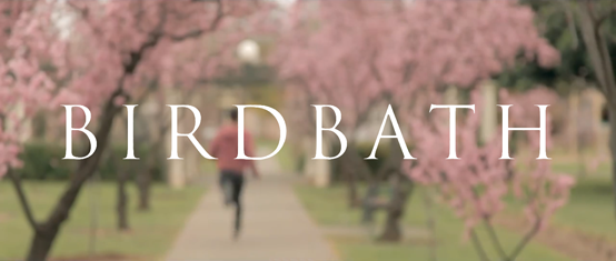 Birdbath  (2013)