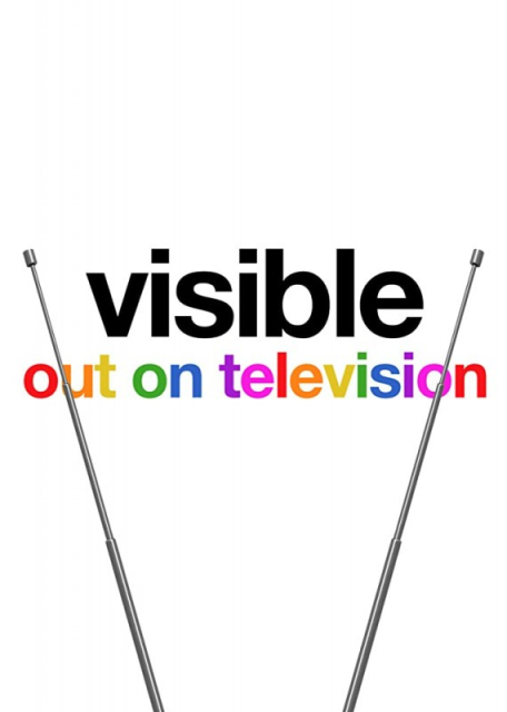 Visible: Out on Television  (2020)