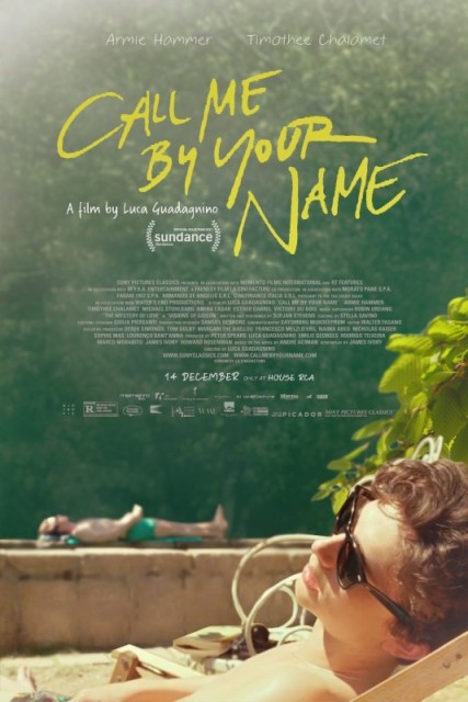 Call Me by Your Name / Říkej mi svým jménem / Dej mi své jméno  (2017)