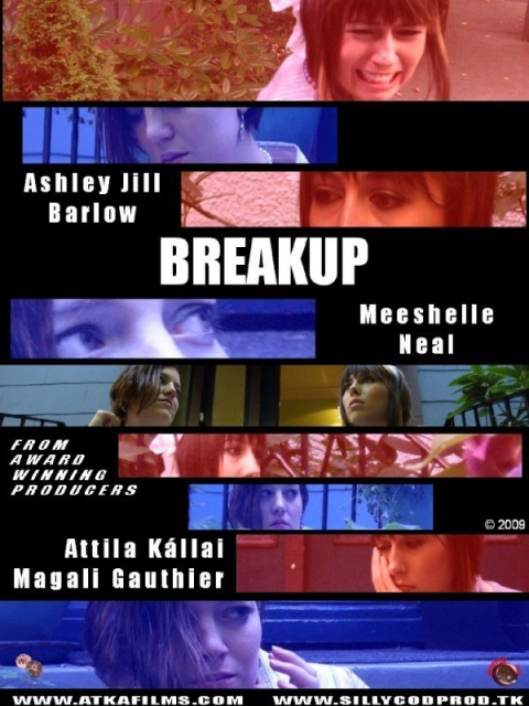 Breakup  (2009)