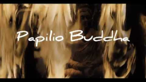 Papilio Buddha