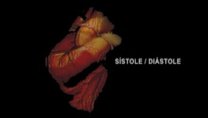 Sistole / Diastole