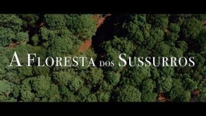 A Floresta dos Sussurros Trailer Oficial