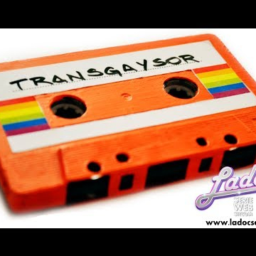 Lado C - Capítulo 2 - Transgaysor