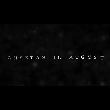 Cheetah In August (Official 2015 Trailer)