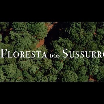 A Floresta dos Sussurros Trailer Oficial