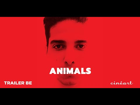 Animals Trailer BE