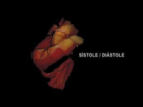 Sistole / Diastole