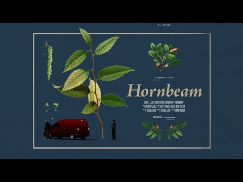 Hornbeam - BIFA Longlisted Short // Official Teaser