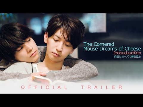 The Cornered Mouse Dreams of Cheese ให้รักฉันอยู่ในมุมหัวใจเธอ - Official Trailer [ ตัวอย่างซับไทย ]