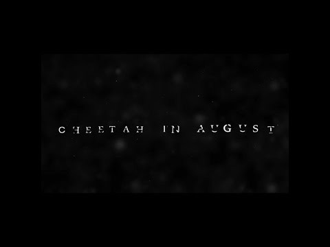 Cheetah In August (Official 2015 Trailer)