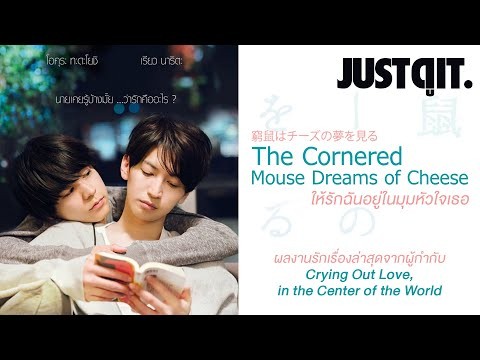 รู้ไว้ก่อนดู The Cornered Mouse Dreams of Cheese ให้รักฉันอยู่ในมุมหัวใจเธอ #JUSTดูIT