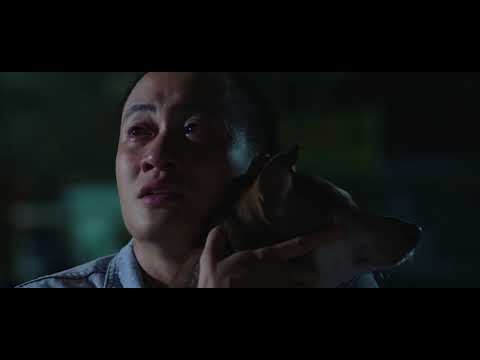 Lost In Paradise 2 (2017) - Trailer