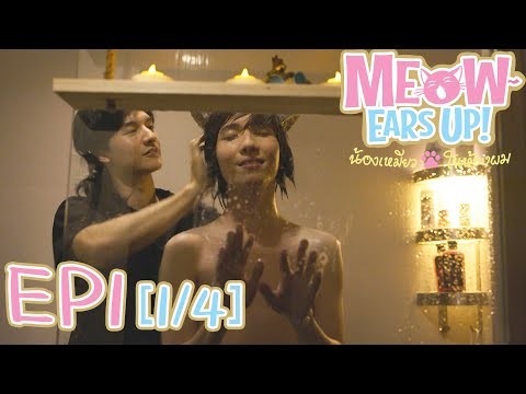 好久不见啊喵 น้องเหมียวในห้องผม Meow Ears Up | EP1[1/4]